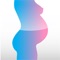 A "Pregnancy Calcutator" é uma aplicação que, a partir da data da última menstruação, permite calcular a idade gestacional, a data provável de parto e determina o intervalo de datas ideal para a realização das ecografias, das análises sanguíneas e o rastreio bioquímico durante a gravidez