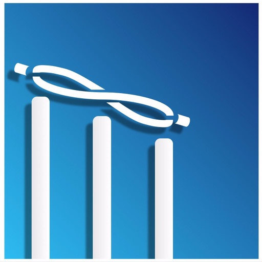 Infinite Cricket Icon