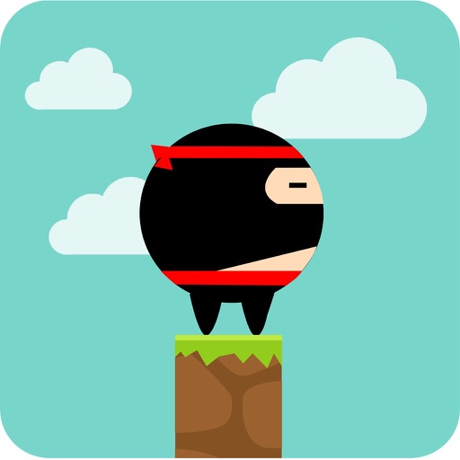 Fat Spring Ninja iOS App