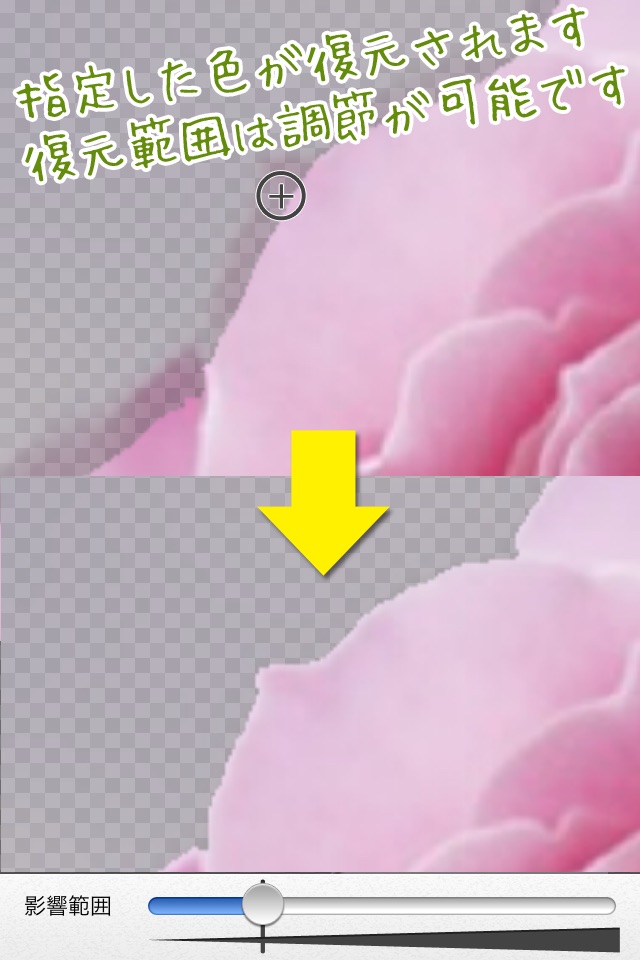 背景透過 -写真を切り抜き、背景透明でスタンプを無料で作成- screenshot 3