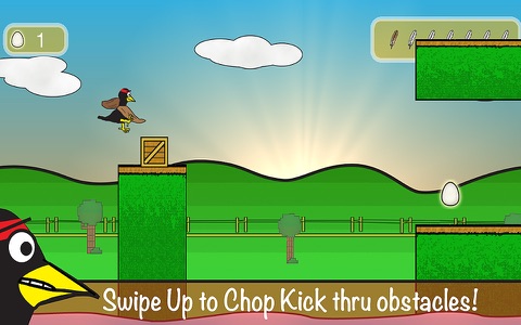 Ninja Hen screenshot 4