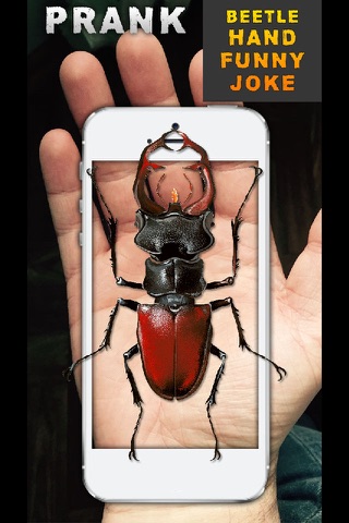 Beetle Hand Funny Joke screenshot 2