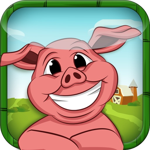 Hay Racer - Super Sonic Pig Run iOS App