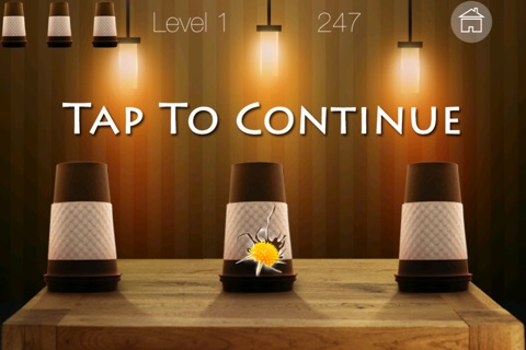 Whack The Cup 2 Pro - Find the hidden ball puzzle screenshot 2