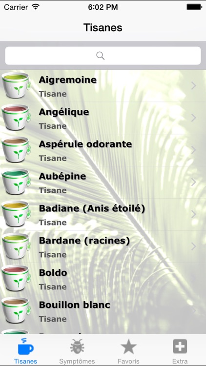 Guide des tisanes et des infusions pour rester en bonne santé grâce aux plantes