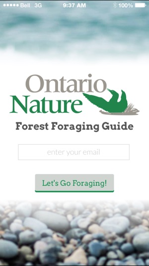 Ontario Nature Forest Foraging Guide