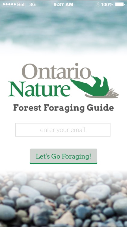 Ontario Nature Forest Foraging Guide