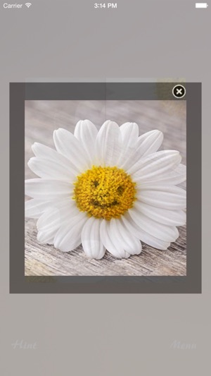 Flower Jigsaw Puzzle(圖3)-速報App