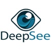 DeepSee - Level 1