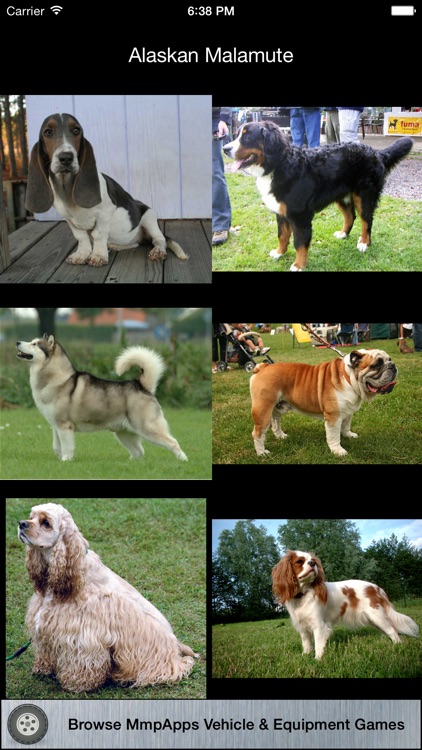 3Strike Animal Collection