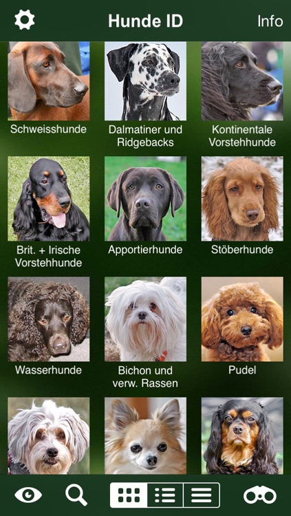 Hunde Id - Welcher Hund passt zu mir? Sunbird Ratgeber zur Auswahl der passenden Hunderasse