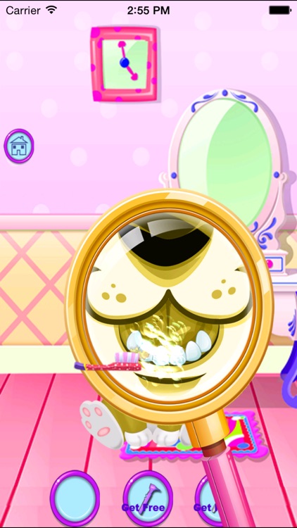 Dog Pet Care Salon - animal planet