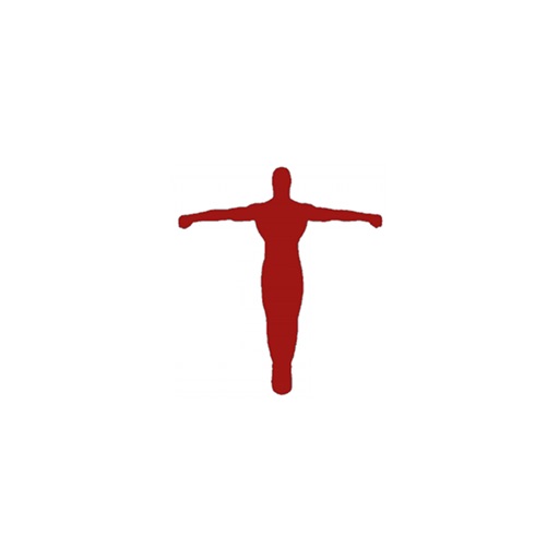 Iron Cross Gym icon