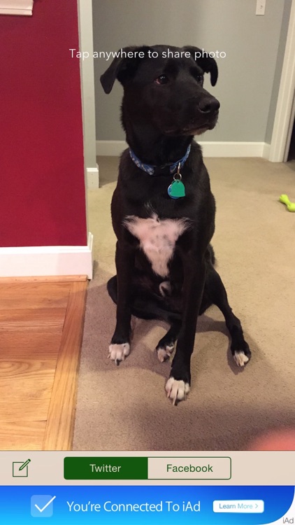 Snapfast - snap photos super fast and immediately share them to Twitter or Facebook