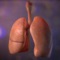 This iPad based immersive lung environment video is developed to simulate the mechanism of a clear path of a diseased patient’s lung in Chronic Obstructive Pulmonary Disease (COPD) and Asthma on a deeper level