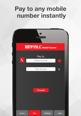 Hey-BLC Mobile Payment screenshot 3