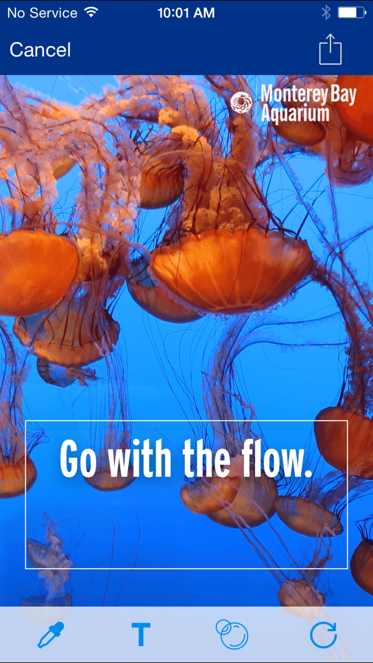 Screenshot do app Monterey Bay Aquarium