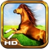 Horse Run Simulator 3D