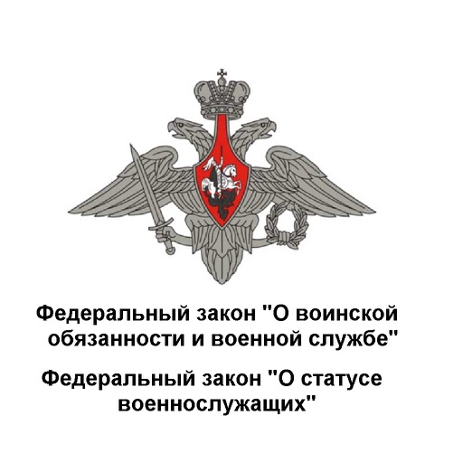 Военные законы (РФ) Military laws of Russia icon