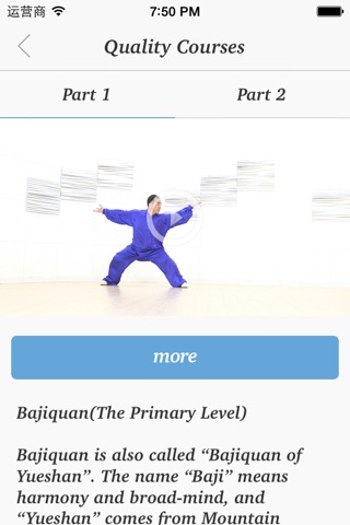 Series of Bajiquan in Tongbei Kungfu screenshot 4