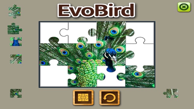 EVO BIRD - Augmented Reality(圖5)-速報App