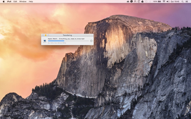 iPull -- Video downloader thumbnail 3