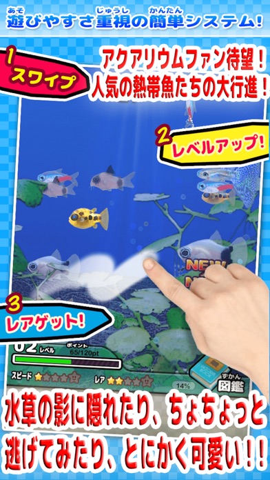 ちっちゃな魚図鑑のスクリーンショット2 ちっちゃな魚図鑑のスクリーンショット2