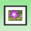 MyFrame - Custom photo frames maker, foto frame template design and personalised framing border for high resolution picture. simplicity, artistic! easy and beautiful!