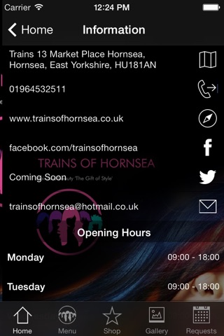Trains of Hornsea screenshot 3