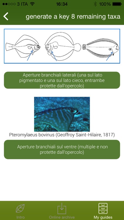 KEYtoNATURE  - Interactive guides to biodiversity screenshot-3