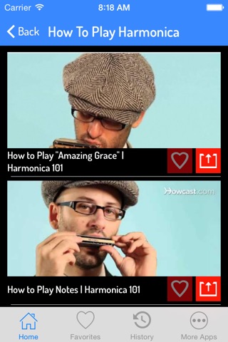 How To Play Harmonica - Video Guide screenshot 2