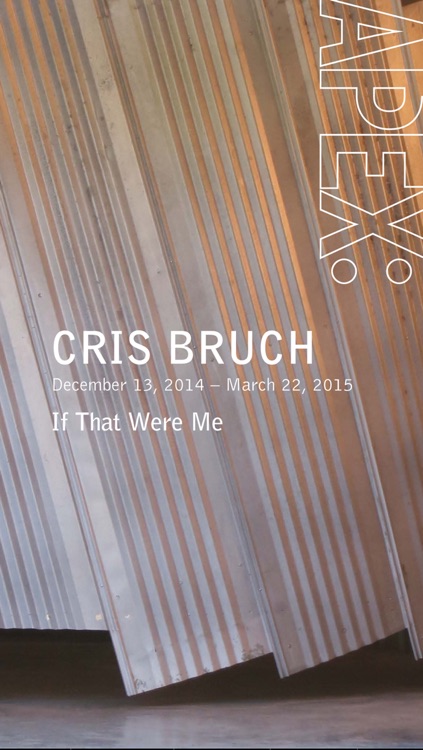 Portland Art Museum APEX: Cris Bruch