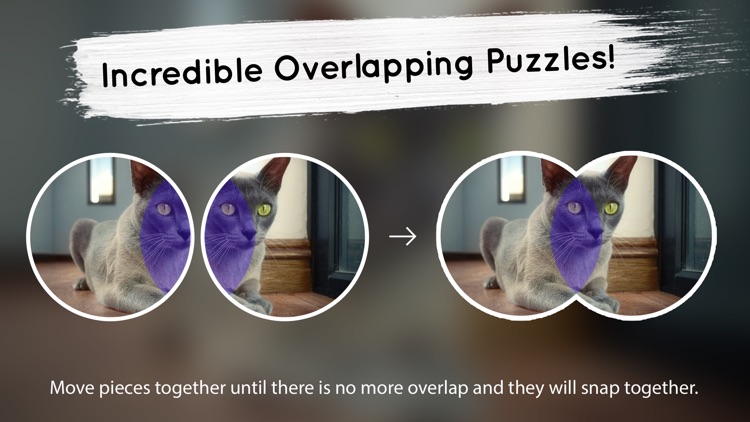 Venn Cats: Overlapping Jigsaw Puzzles