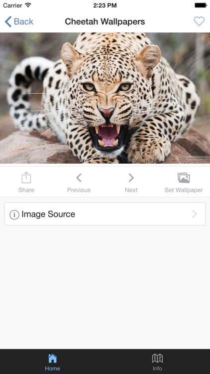 Cheetah Wallpapers HD : Animal Walpapers by Didy Septiyono