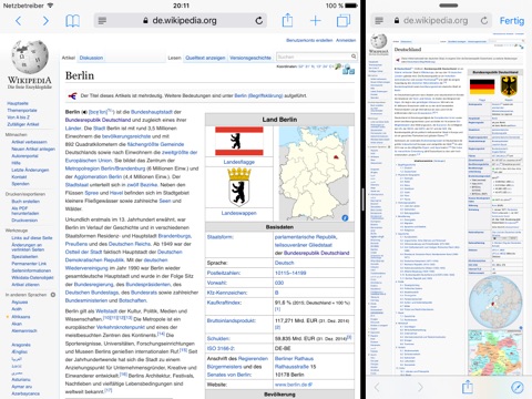 ParallelBrowser - Multitasking webbrowser screenshot 2