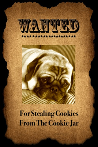 Wanted Poster Booth screenshot 2