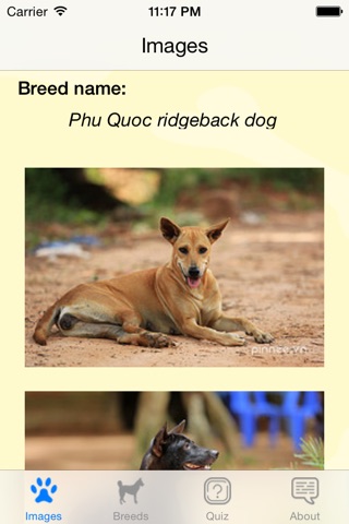 iDogs - Dog Breeds & Quizzes screenshot 2