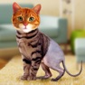 Get Simulator Morph Cat for iOS, iPhone, iPad Aso Report