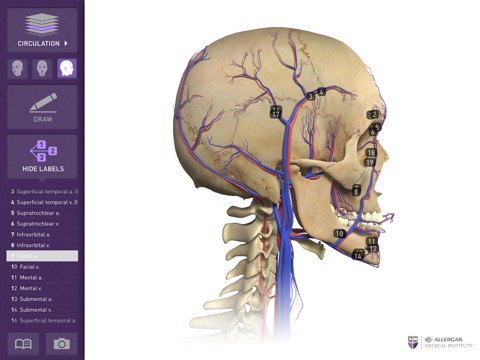 Interactive Anatomy - AE screenshot 2