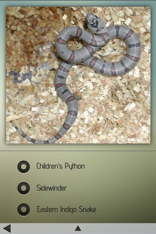 Snakes-Encyclopedia screenshot 4