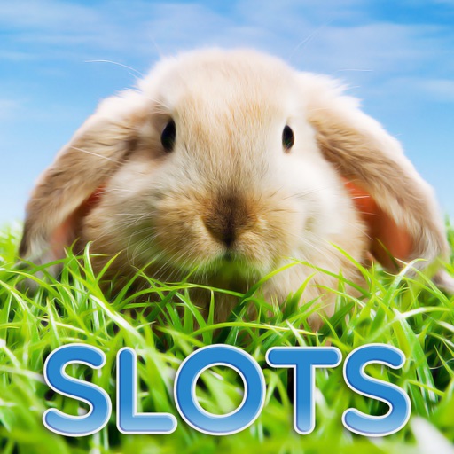 Spring Animals Slots - FREE Slot Game icon