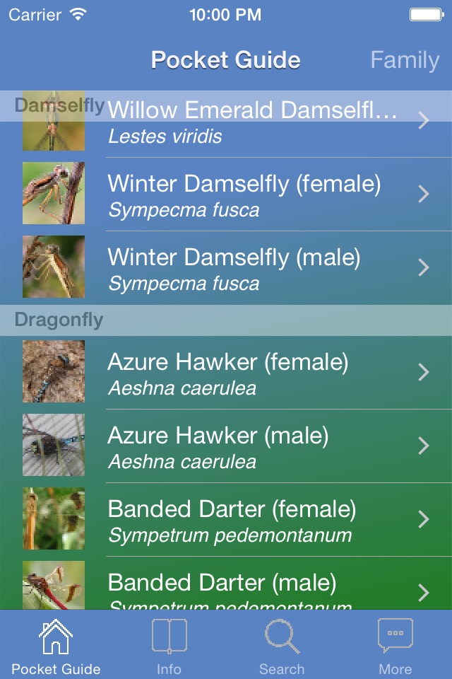 Pocket Guide UK Dragonflies screenshot 3