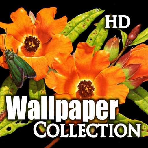 Art Awesome Wallpapers HD iOS App