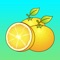 Highlight Feature of Organic Diet Guide: