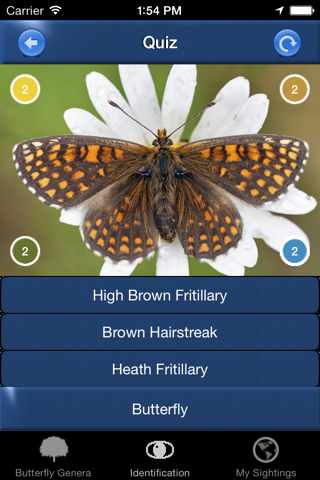 Butterfly Id - UK Field Guide screenshot 4