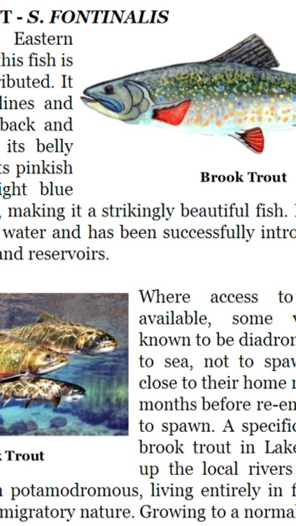 The Fly Fishing Encyclopedia Paid