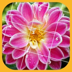Activities of Jigsaw Puzzle - Flower