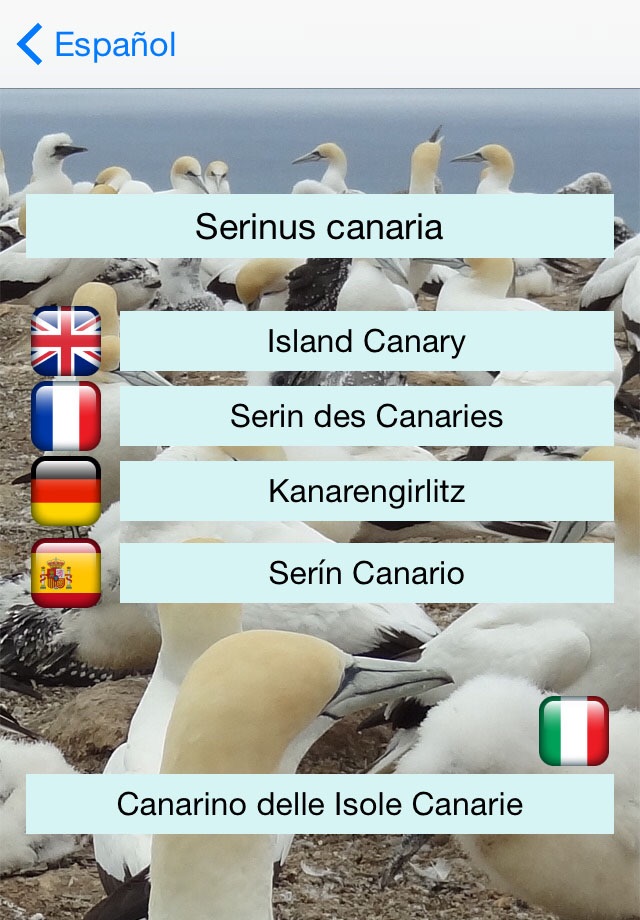 EuropaBirds - the names of 842 species in 6 languages screenshot 3