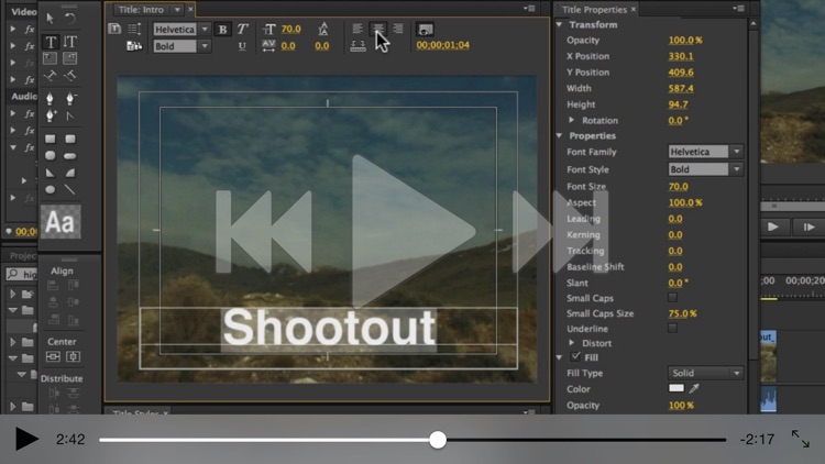 Intro Course For Premiere Pro screenshot-4