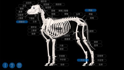 イヌの解剖学 - Dog Anatomy 3dのおすすめ画像3